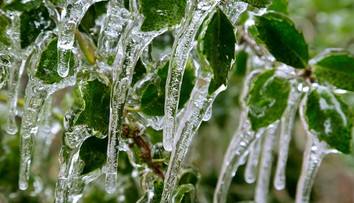 Na Šumave zaznamenali rekordne nízku teplotu