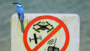 V týchto krajinách si dajte pozor: Kto zomrie, bude potrestaný. Prehľad najbizarnejších zákazov, ktoré stále platia