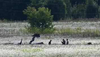 Rusi tvrdia, že za pádom stíhačky Su-57 je porucha. Ak sa potvrdí ukrajinská verzia, bude to pre Moskvu veľká hanba