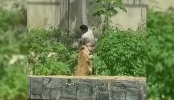 VIDEO: Sníval o práci krotiteľa šeliem. Mladíka pred zrakmi návštevníkov zoo zabila levica