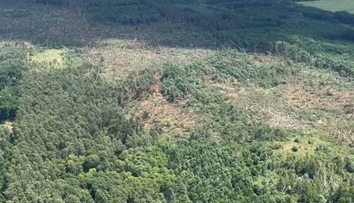 Letecká dokumentácia: Video podrobne zachytáva, ako tornádo spustošilo južnú Moravu