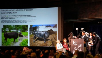 Môže alkohol zlepšiť našu schopnosť hovoriť cudzím jazykom? V USA odovzdali antinobelove ceny za absurdné výskumy