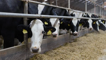 Štát spúšťa 44-miliónovú výzvu pre farmárov, ktorí pre SLAK museli zlikvidovať svoj dobytok