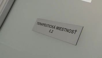 Psychiatri majú o mladú generáciu strach. Po koronavíruse nastúpila pandémia duševných chorôb
