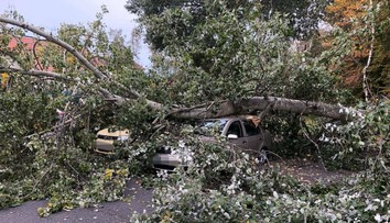 Veterná búrka Mortimer vyvracala v Česku stromy. Hlásia aj výpadky energie