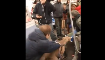 VIDEO: Desivý incident v metre. Pitbul sa zahryzol do ženy a trhal