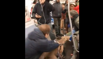 VIDEO: Desivý incident v metre. Pitbul sa zahryzol do ženy a trhal