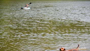 Skrytá hrozba v rekreačnej oblasti na západe Slovenska. Vo vodnej nádrži potvrdili výskyt nebezpečného parazita
