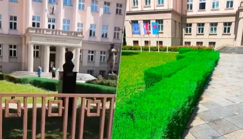 Natreli vyschnutý ker nazeleno. Pamiatkari popreli tvrdenie Matice slovenskej