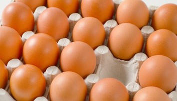 Drahšie neznamená lepšie. Vedci ukázali, v čom sa líšia bio, klietkové a vajcia z výbehu