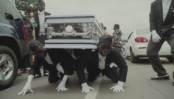 Aj tento rok bol bohatý na kuriozity, tieto nás zaujali najviac