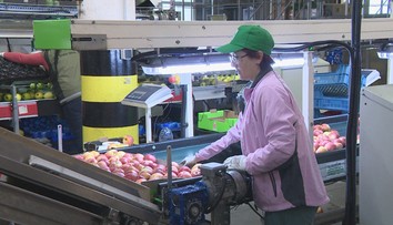 Viete, aký je rozdiel medzi odmenami a 13. a 14. platom?