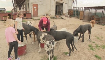 Zvieratá odsúdené na smrť dnes žijú spolu v jednej rodine. Eva im dala bezpečný domov