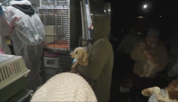 Veľká razia veterinárov v psej fabrike. Odobrali takmer ďalších 300 psov