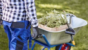 Apríl v záhrade: Päť vecí, ktoré by ste mali tento mesiac stihnúť