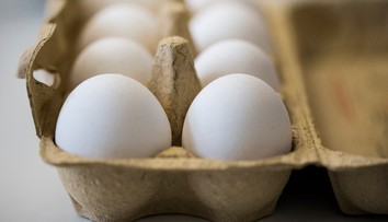 Holandsko a Nemecko blokujú zverejnenie údajov o škandále okolo Fipronilu