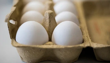 Holandsko a Nemecko blokujú zverejnenie údajov o škandále okolo Fipronilu
