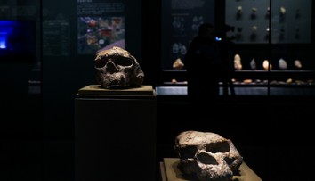 Milión rokov stará lebka prepisuje históriu evolúcie. Ľudia chodili po Zemi skôr, ako sme sa učili v škole