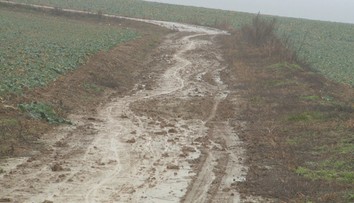 Cyklochodník medzi Nitrou a Vrábľami mizne pred očami. Môže za to blato