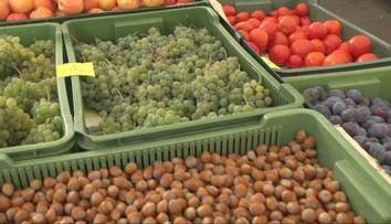 V ponuke sú stále aj paradajky či melóny. Navštívili sme trhovisko na juhu Slovenska