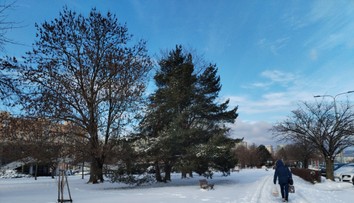 Počasie zaplnilo urgenty na východe. Odborníci radia, čo robiť pri pošmyknutí