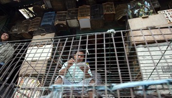 Ešte väčšia pohroma ako covid-19. Indickí vedci predpovedajú, ako by mohla vypuknúť ďalšia pandémia