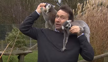 VIDEO: Komplikácie pri nakrúcaní. Reportéra terorizovali dotieravé lemury