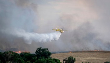 Madrid zahalil oblak dymu z neďalekého lesného požiaru. Úrady vyzvali obyvateľov, aby zostali doma