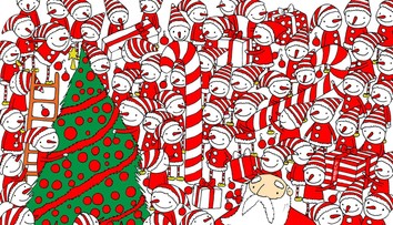 Vianočná hádanka: Pomôžete Santovi nájsť jeho čiapku?