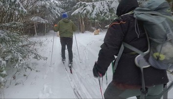 Bežkári majú dôvod na radosť, podmienky patria k najlepším za roky. Poradíme vám, ako začať