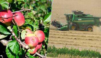 Pestovatelia pre teplú zimu avizujú slabú úrodu. Stále lamentujú, už dávno sa mali prispôsobiť zmene klímy, odkazuje odborník