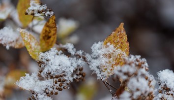 Teplé dni sa blížia ku koncu. Vpád zimy na Slovensko prinesie prvé snehové zrážky
