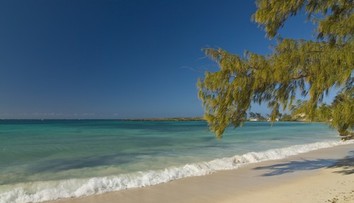 Tragédia v dovolenkovom raji: Hromadná otrava si vyžiadala desiatky životov