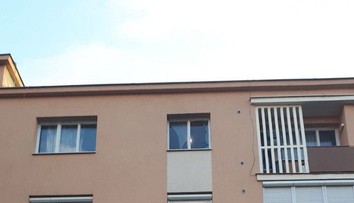 Chlapec chodil po parapete okna, kým jeho opitá matka spala. Paradoxne to nebolo prvýkrát