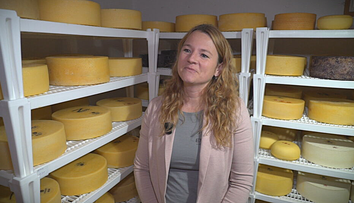Domáci syr zo Slovenska získal prestížne ocenenie: Zaradil sa medzi top 14 z celého sveta