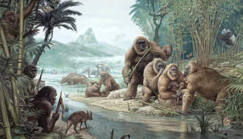 Najväčší primát histórie mal k ľuďom bližšie, než sme si mysleli. Nová štúdia mení pohľad na gigantopiteka