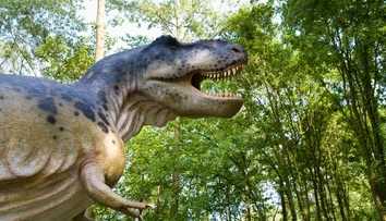 Vedci odhalili tajomstvo Tyrannosaura rexa. V jednej veci bol človeku podobnejší, než sme si mysleli
