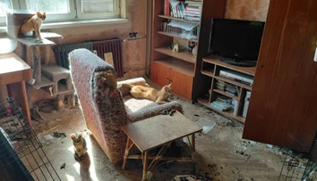 FOTO: Prázdne misky, zápach čpavku a 18 trpiacich zvierat. Z ich „domova“ sa stalo miesto utrpenia
