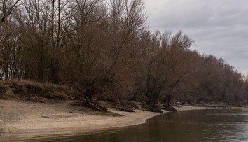Tragický nález na východe Slovenska. Mysleli si, že vidia bábiku, z rieky nakoniec vytiahli bezvládne telo dieťaťa