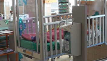 Pes napadol dievčatko (5), dohrýzol ju do hlavy a krku. Tu sú podrobnosti útoku