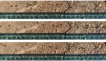 Vedci zrejme našli riešenie na plynulú premávku bez kolón. Mohli by sme sa inšpirovať mravcami