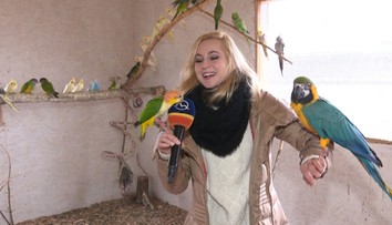 To, čo uvidíte na videu sa do vysielania nikdy nedostalo