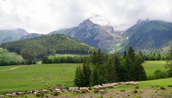 Horúčavy ešte nekončia. Zmena je v nedohľadne