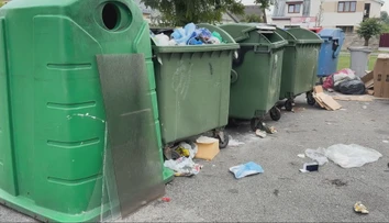 Potkany hodujú medzi odpadkami a niekedy sa pustia aj do áut. Mesto prichádza s riešením dlhoročného problému
