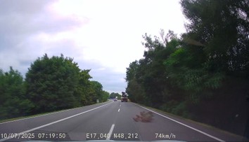 VIDEO: Otrasné správanie na slovenskej ceste. Vodič ohrozoval premávku, z korby mu vypadávali obrovské konáre