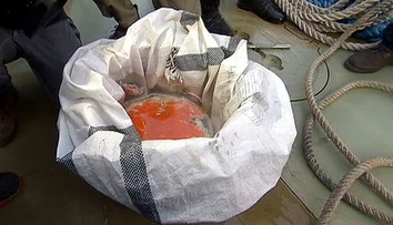 Zverejnili posledné slová pilota z havarovaného lietadla s Alexandrovcami