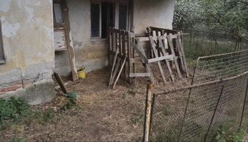Chovateľ sa zobudil do nešťastného rána. V noci sa mu medvedica s malými vlámala do maštale a zabila ovce