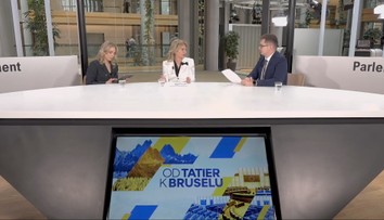 V europarlamente je opäť na stole veková hranica pre sociálne siete. Európskym inštitúciám všetko dlho trvá, tvrdí Beňová