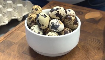 Prepeličie vajcia namiesto slepačích: Drahšia alternatíva, ktorá má jeden významný zdravotný benefit