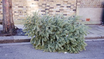 Dôchodkyni zlomil ruku padajúci vianočný stromček. Suseda zo šiesteho poschodia ju vraj nevidela